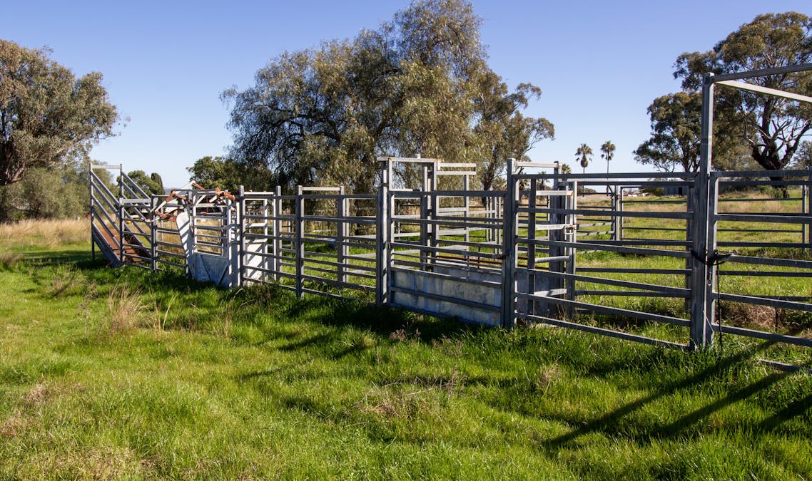 730 Ascot-Calala Road, Tamworth, NSW, 2340 - Image 15