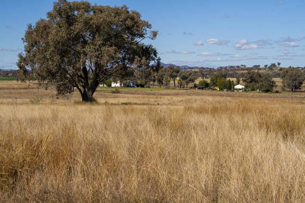 730 Ascot-Calala Road, Tamworth, NSW, 2340 - Image 19