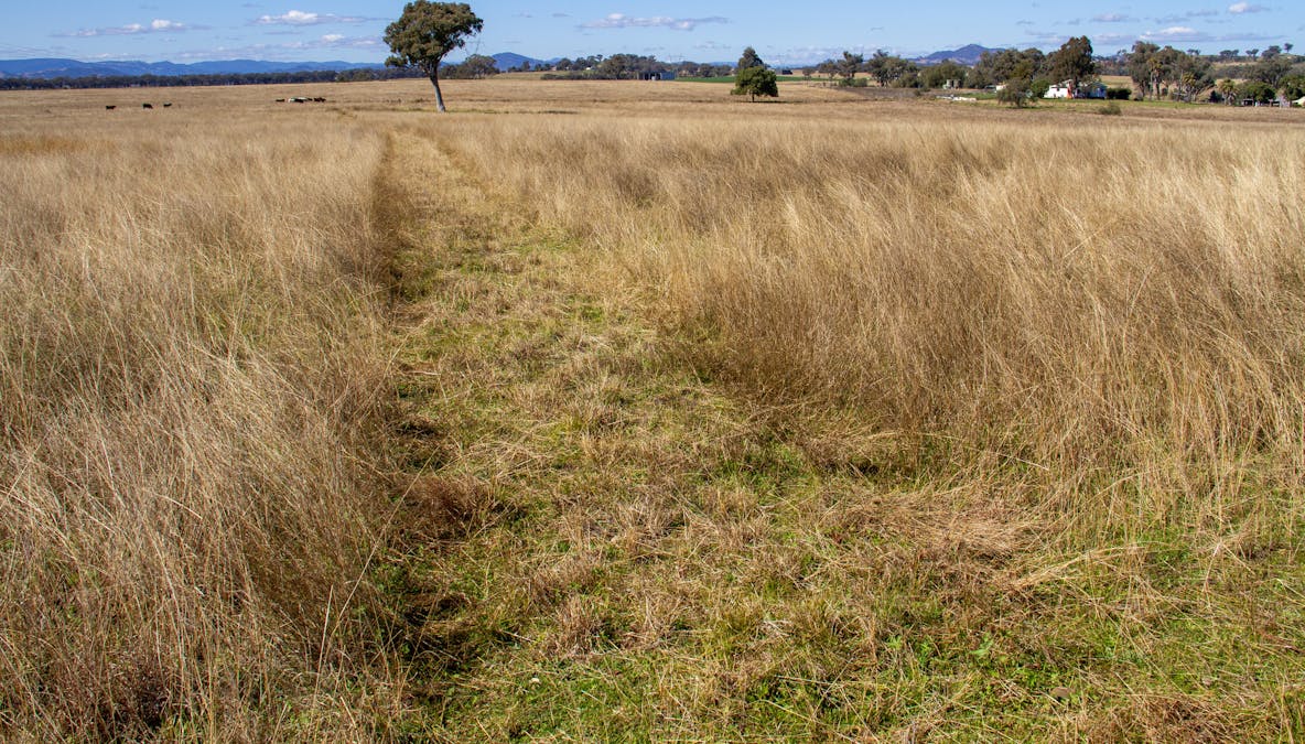 730 Ascot-Calala Road, Tamworth, NSW, 2340 - Image 20