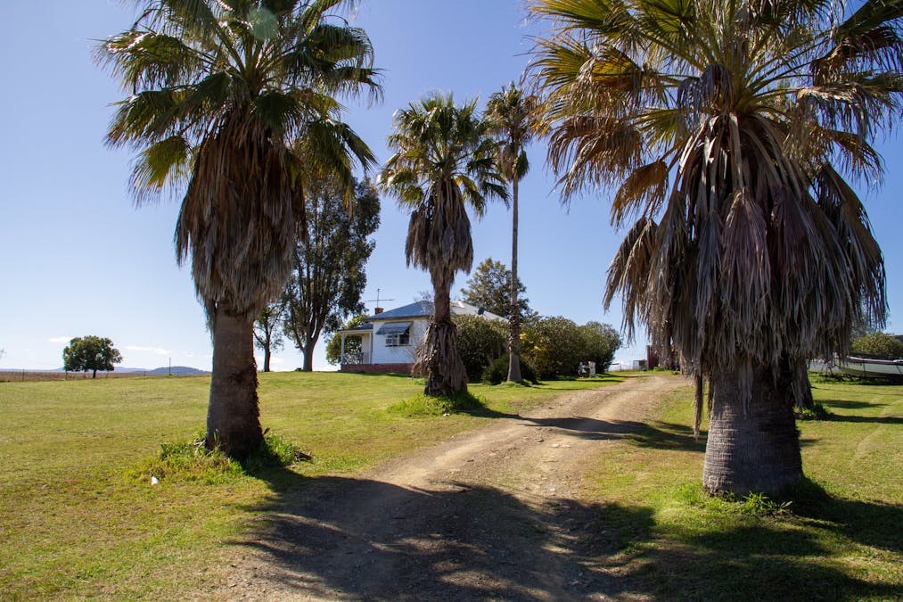 730 Ascot-Calala Road, Tamworth, NSW, 2340 - Image 22