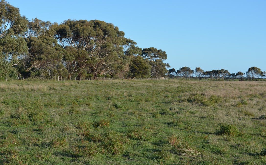 sec 440 Nunga-Mia Road, Robe, SA, 5276 - Image 5