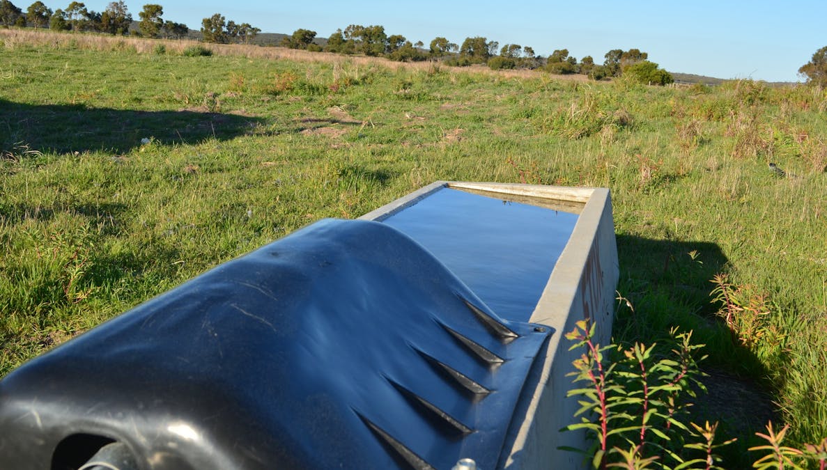 sec 440 Nunga-Mia Road, Robe, SA, 5276 - Image 6