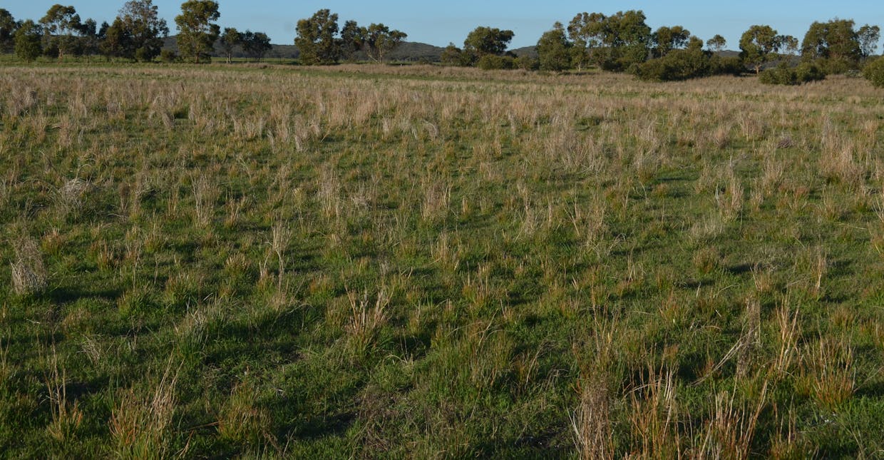 sec 440 Nunga-Mia Road, Robe, SA, 5276 - Image 9