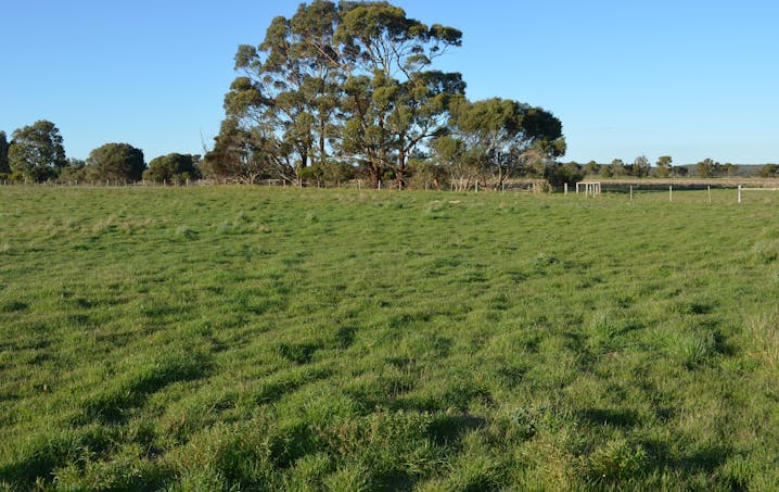 sec 440 Nunga-Mia Road, Robe, SA, 5276 - Image 1