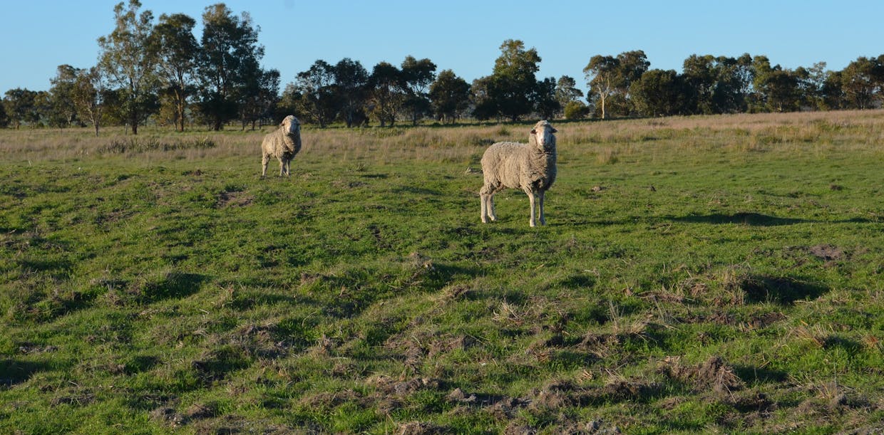 sec 440 Nunga-Mia Road, Robe, SA, 5276 - Image 3