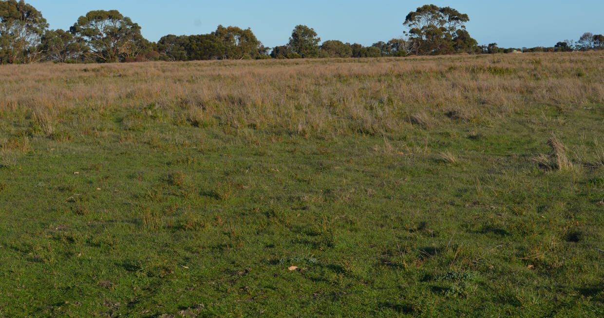sec 440 Nunga-Mia Road, Robe, SA, 5276 - Image 10