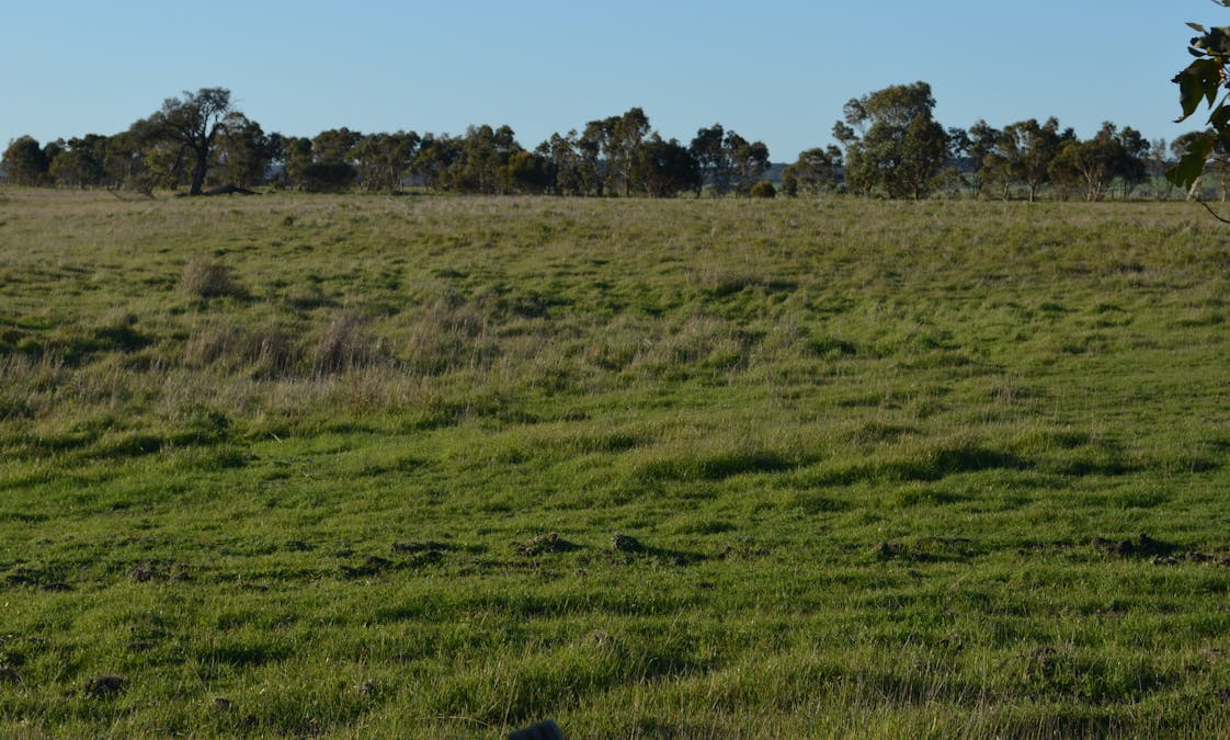 sec 440 Nunga-Mia Road, Robe, SA, 5276 - Image 4