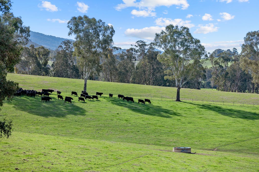 829 Carrolls Road & 164 Brownes Lane, Rosewhite, VIC, 3737 - Image 32