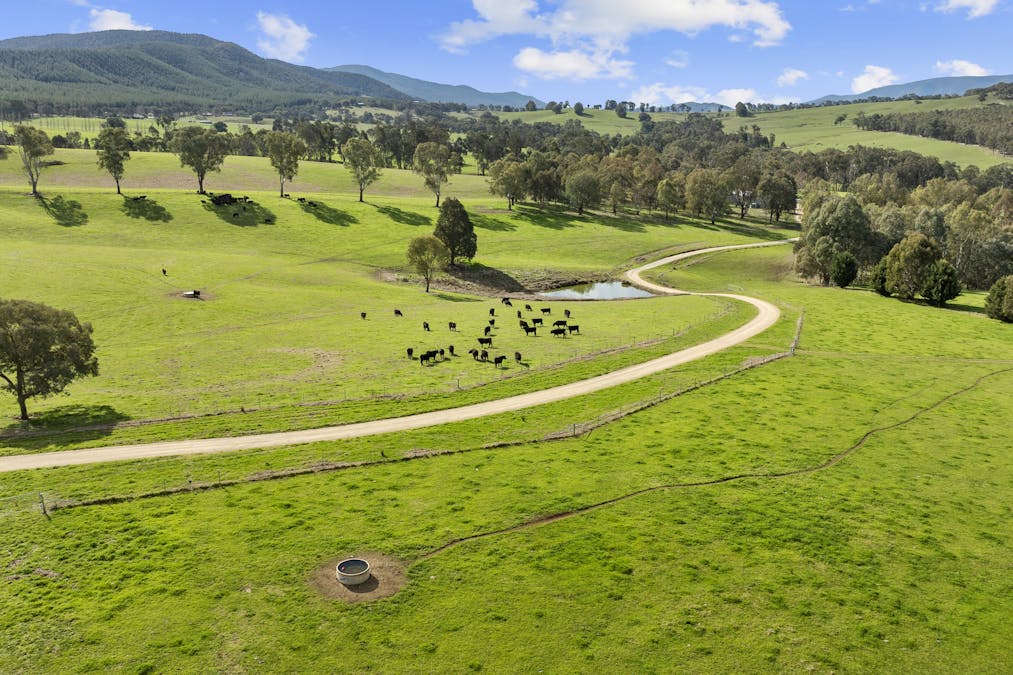 829 Carrolls Road & 164 Brownes Lane, Rosewhite, VIC, 3737 - Image 3