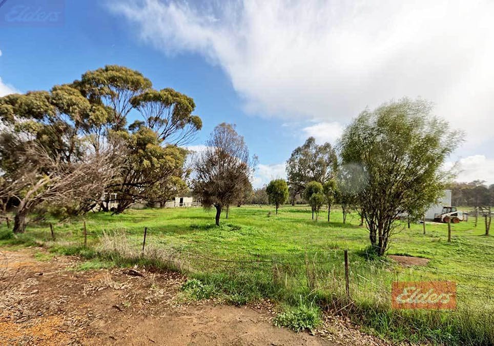 43 Richmond Street, Williams, WA, 6391 - Image 6