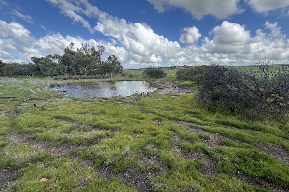 800 East Bowes Road, Naraling, WA, 6532 - Image 12