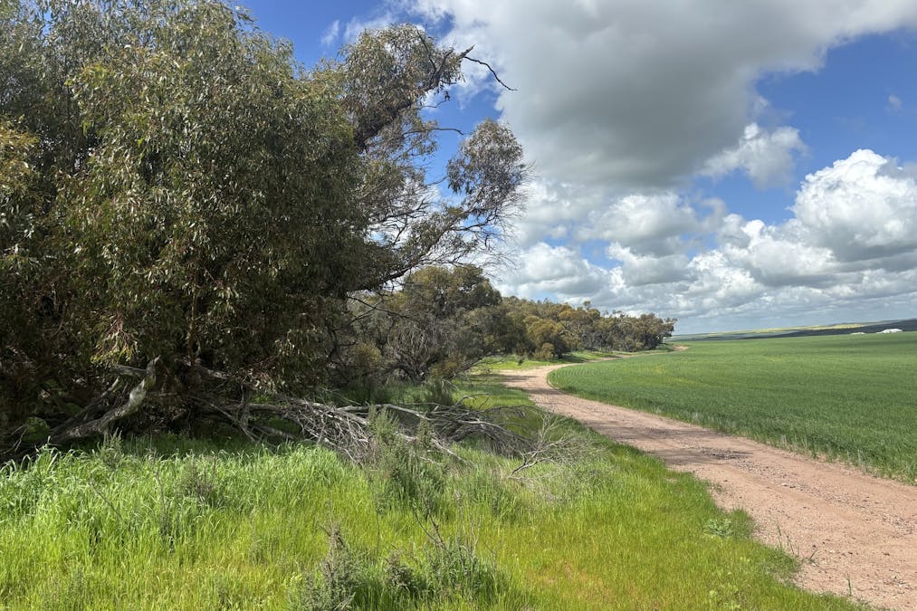 800 East Bowes Road, Naraling, WA, 6532 - Image 8