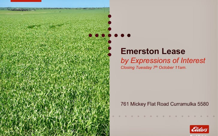 761 Micky Flat Road, Curramulka, SA, 5580 - Image 1