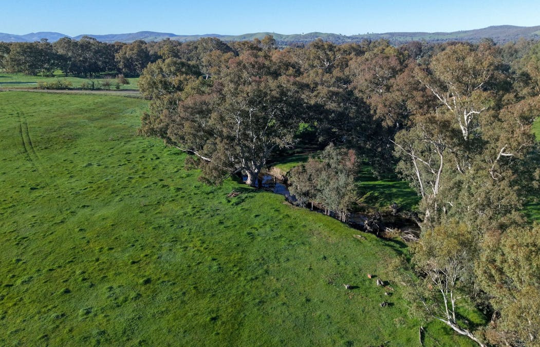 40 Crosses Road, Indigo Valley, VIC, 3688 - Image 20