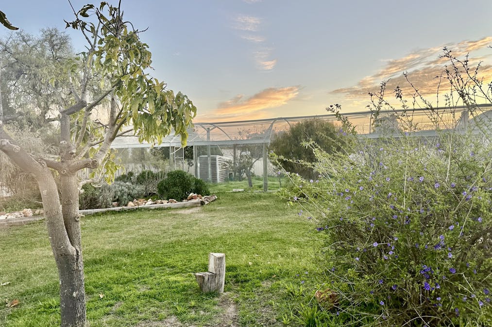 14 Leonora Street, Wagin, WA, 6315 - Image 22
