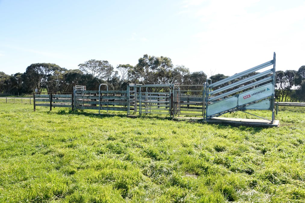 Tillers Road, Wye, SA, 5291 - Image 6