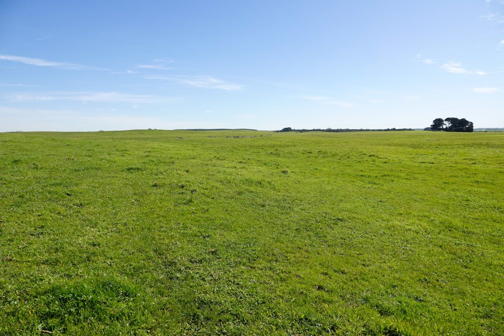 Tillers Road, Wye, SA, 5291 - Image 8