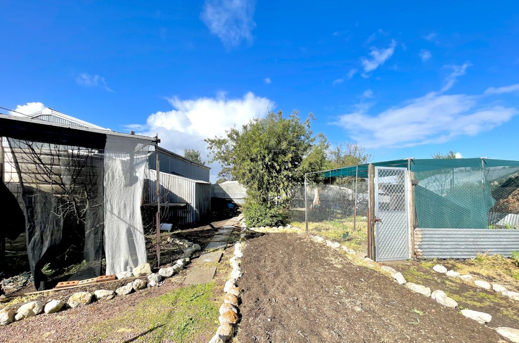 3 Terre Street, Lock, SA, 5633 - Image 30