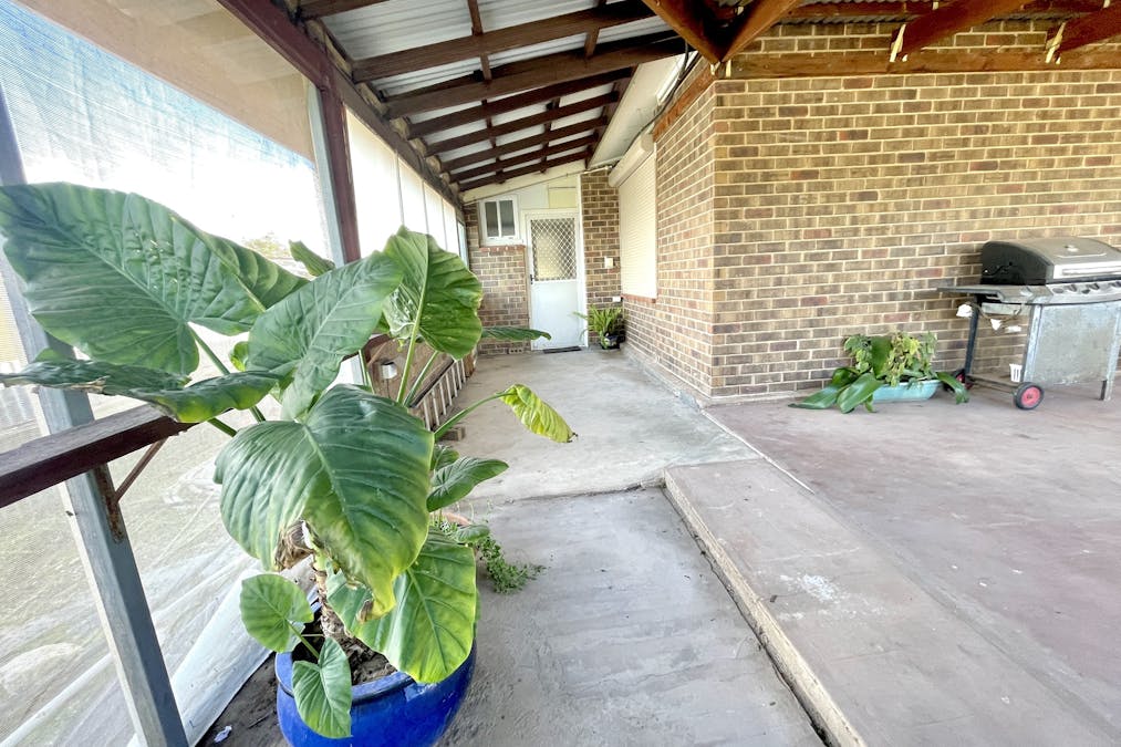3 Terre Street, Lock, SA, 5633 - Image 21