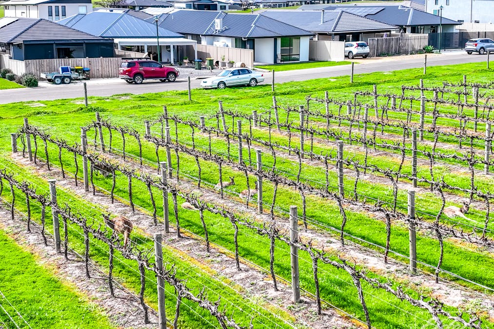 10/55 The Vines Drive, Normanville, SA, 5204 - Image 35