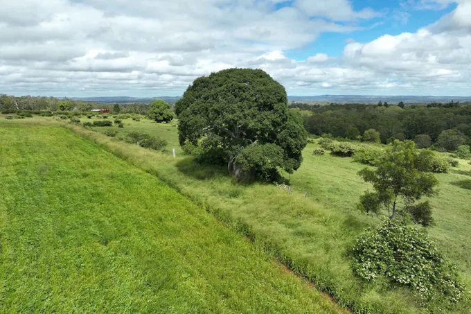34 Bellottis Road, Oakdale, QLD, 4605 - Image 1