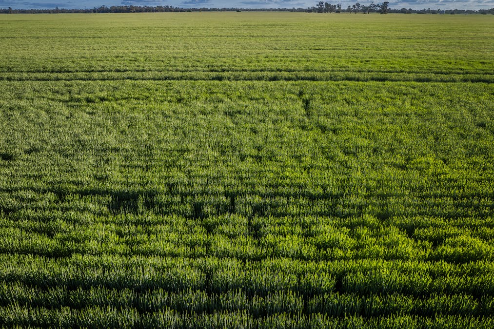 Bourbah 2598 Warren Road, Gulargambone, NSW, 2828 - Image 5