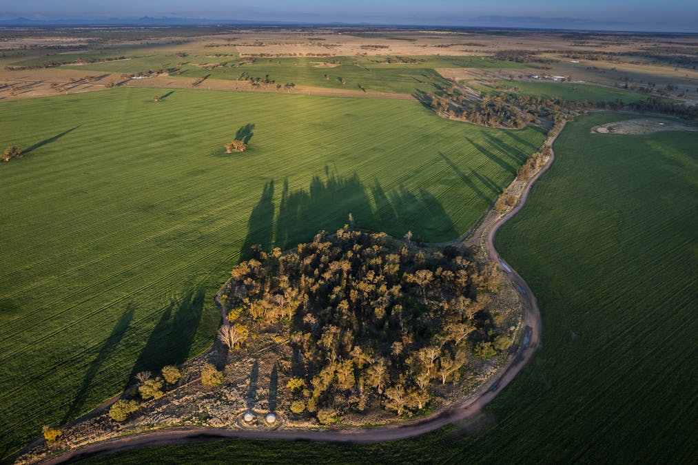 Bourbah 2598 Warren Road, Gulargambone, NSW, 2828 - Image 3