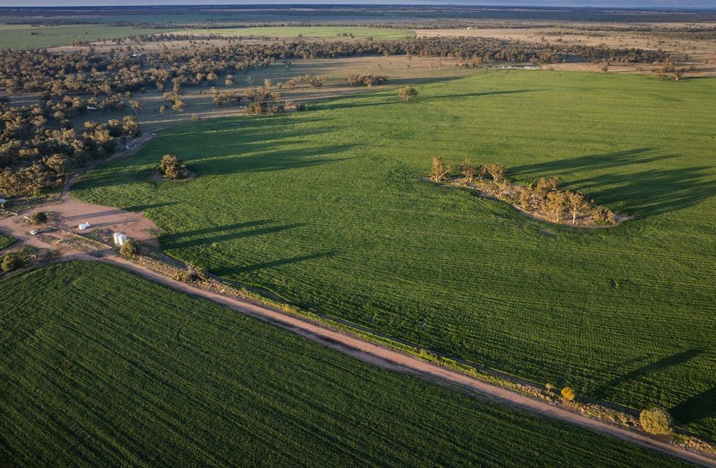 Bourbah 2598 Warren Road, Gulargambone, NSW, 2828 - Image 6