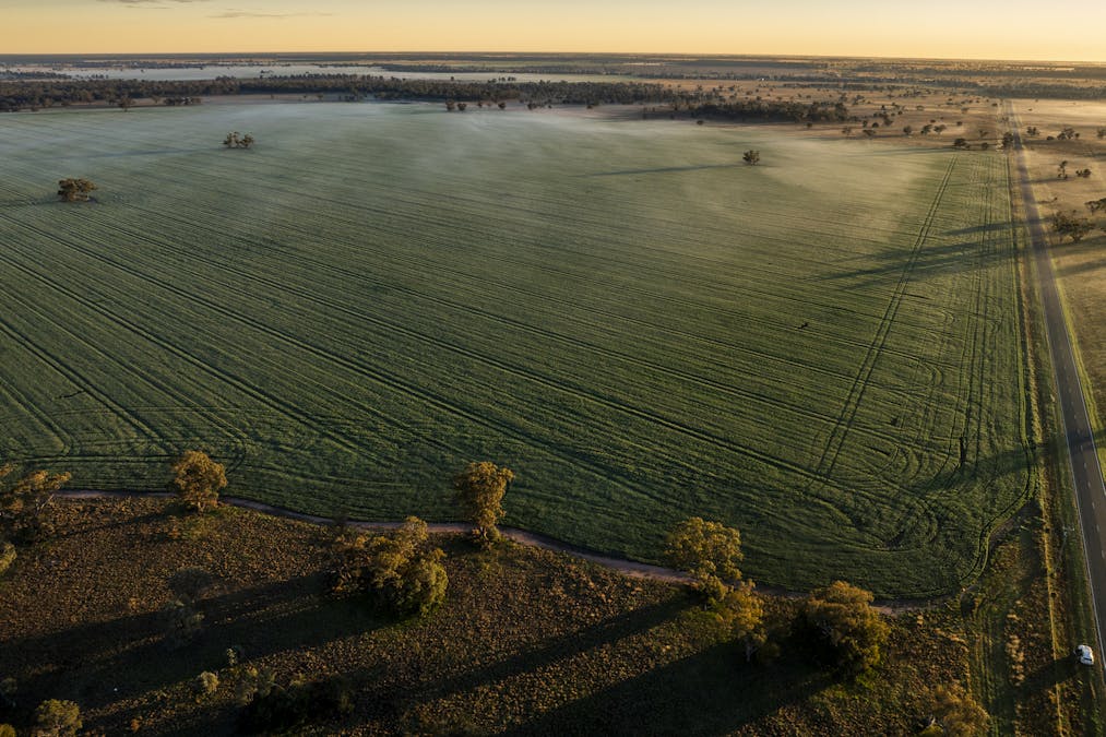 Bourbah 2598 Warren Road, Gulargambone, NSW, 2828 - Image 8