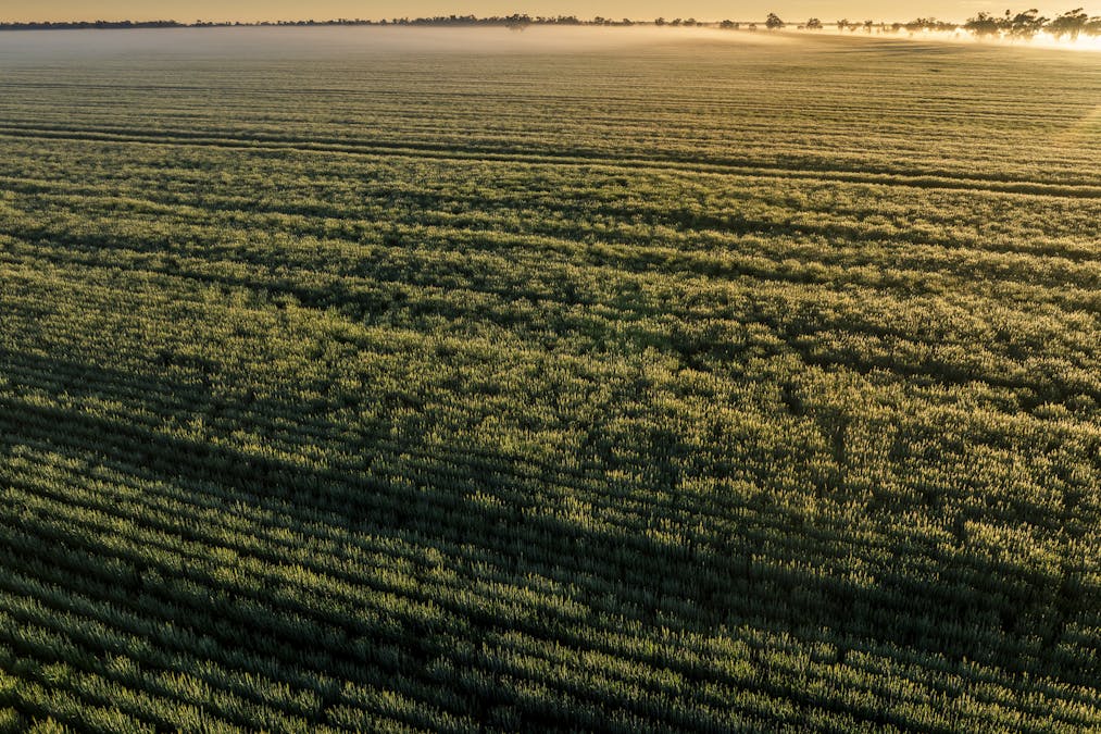Bourbah 2598 Warren Road, Gulargambone, NSW, 2828 - Image 7