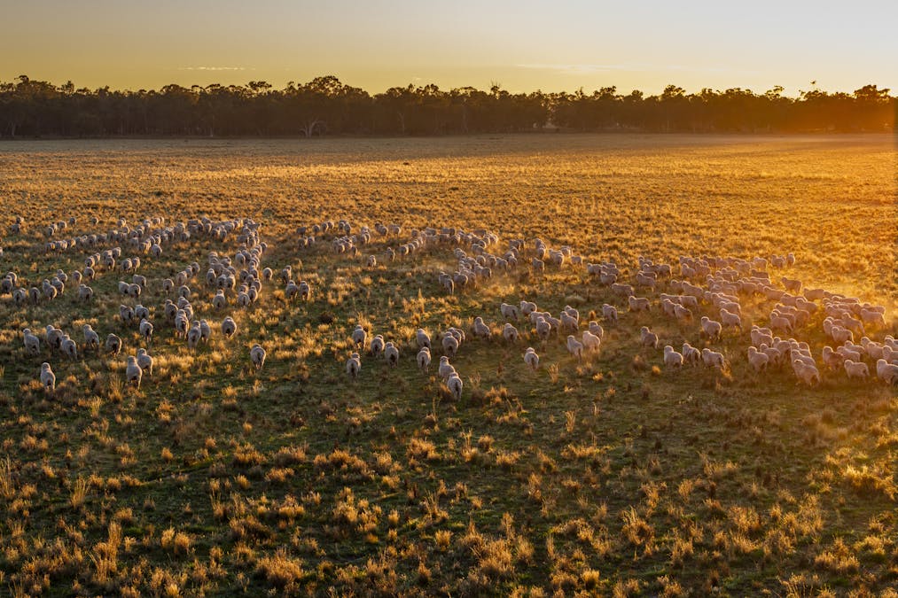Bourbah 2598 Warren Road, Gulargambone, NSW, 2828 - Image 12