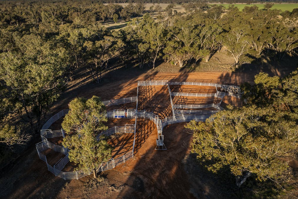 Bourbah 2598 Warren Road, Gulargambone, NSW, 2828 - Image 17