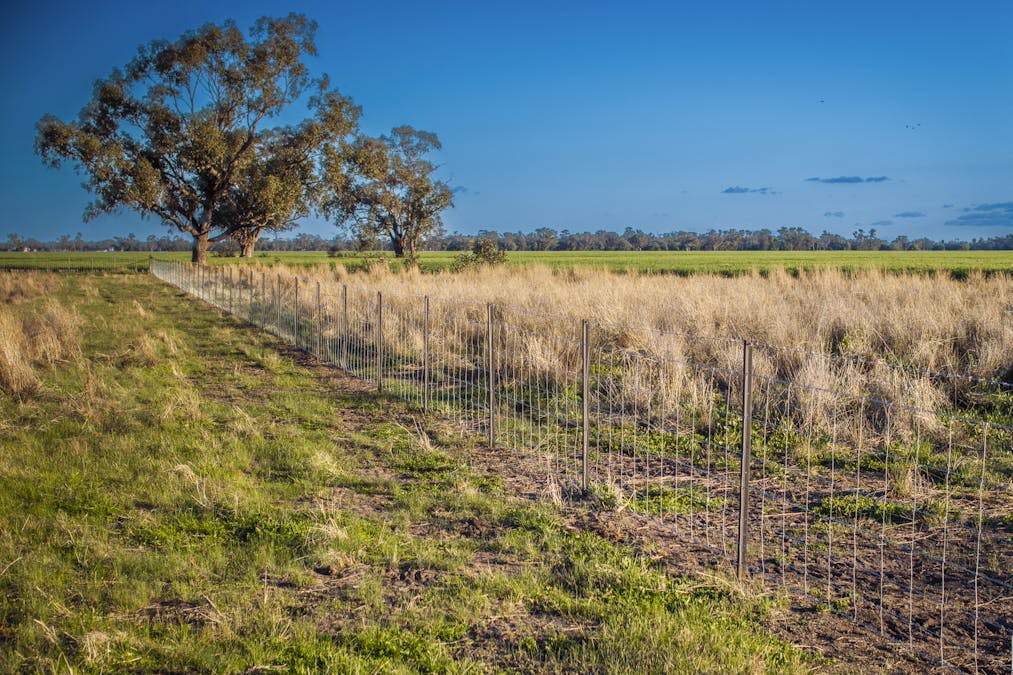 Bourbah 2598 Warren Road, Gulargambone, NSW, 2828 - Image 23