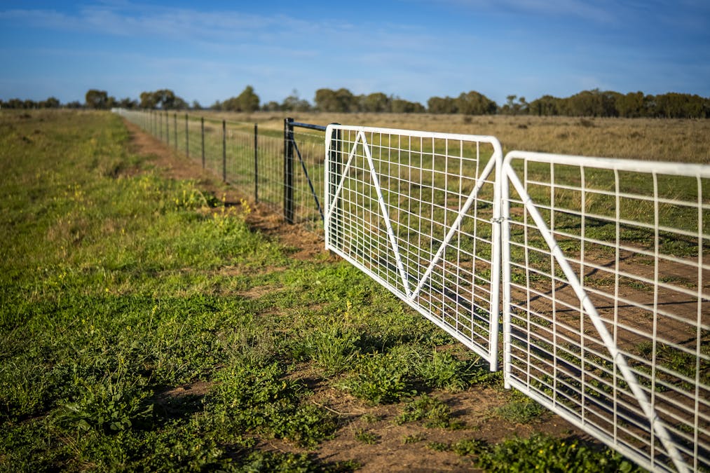 Bourbah 2598 Warren Road, Gulargambone, NSW, 2828 - Image 26