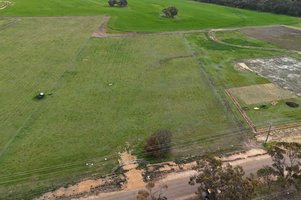 56 Prosser Street, Katanning, WA, 6317 - Image 3