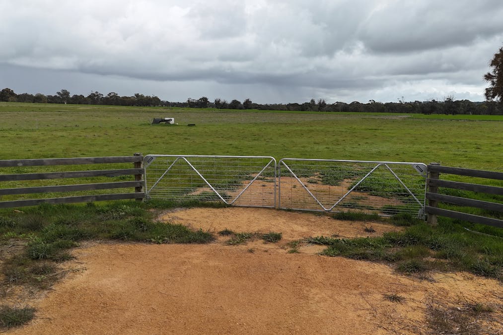 56 Prosser Street, Katanning, WA, 6317 - Image 10