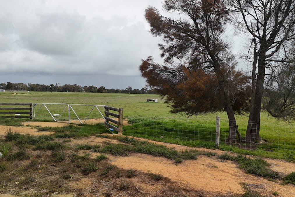 56 Prosser Street, Katanning, WA, 6317 - Image 12