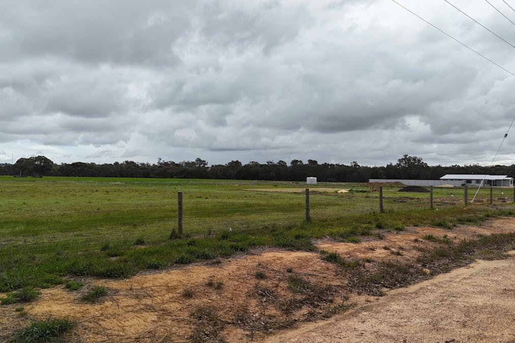 56 Prosser Street, Katanning, WA, 6317 - Image 14
