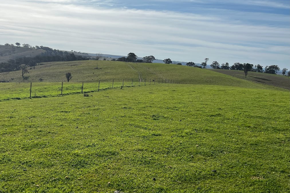 1185 Golspie Road, Golspie, NSW, 2580 - Image 4