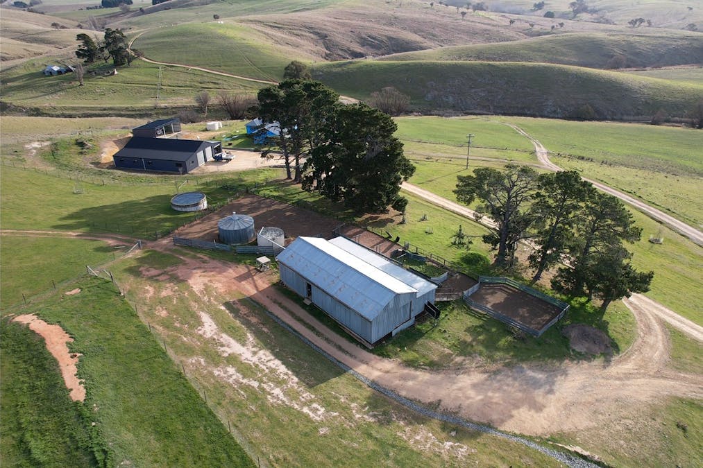 1185 Golspie Road, Golspie, NSW, 2580 - Image 7