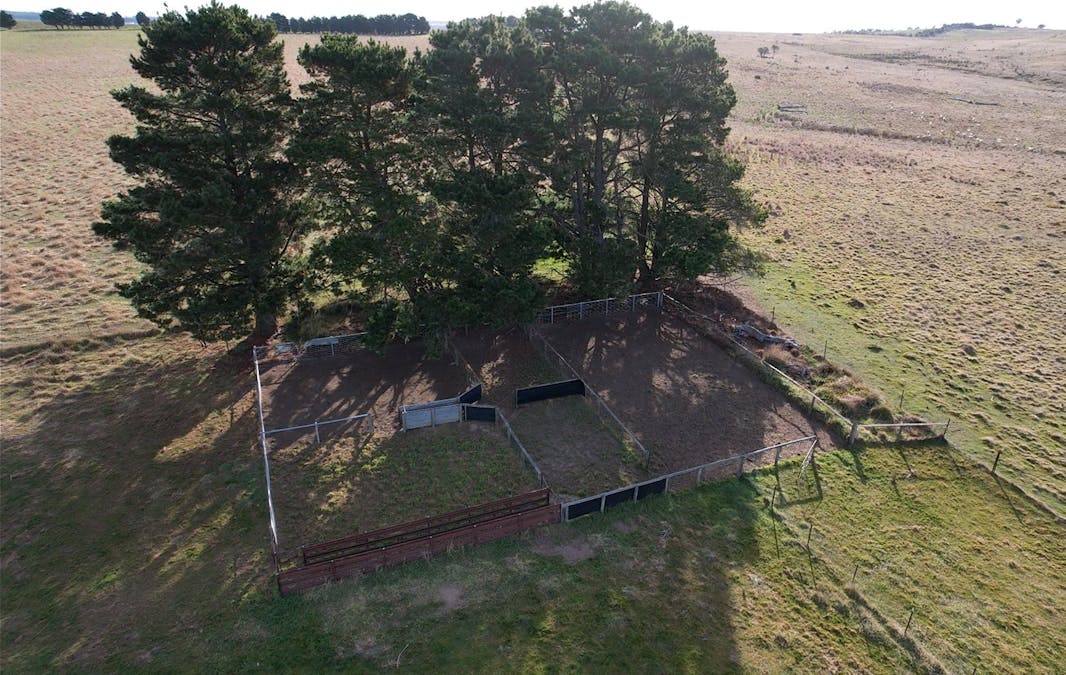 1185 Golspie Road, Golspie, NSW, 2580 - Image 8