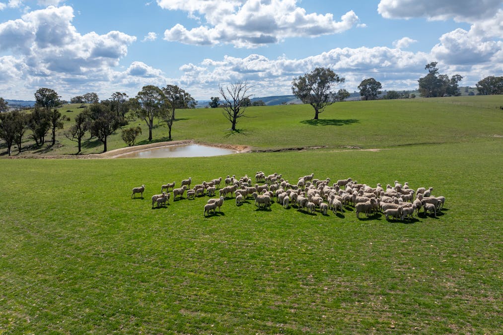 1185 Golspie Road, Golspie, NSW, 2580 - Image 1