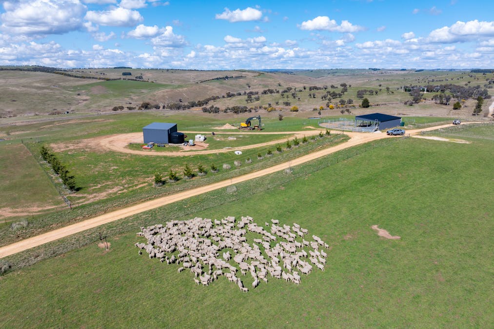 1185 Golspie Road, Golspie, NSW, 2580 - Image 4