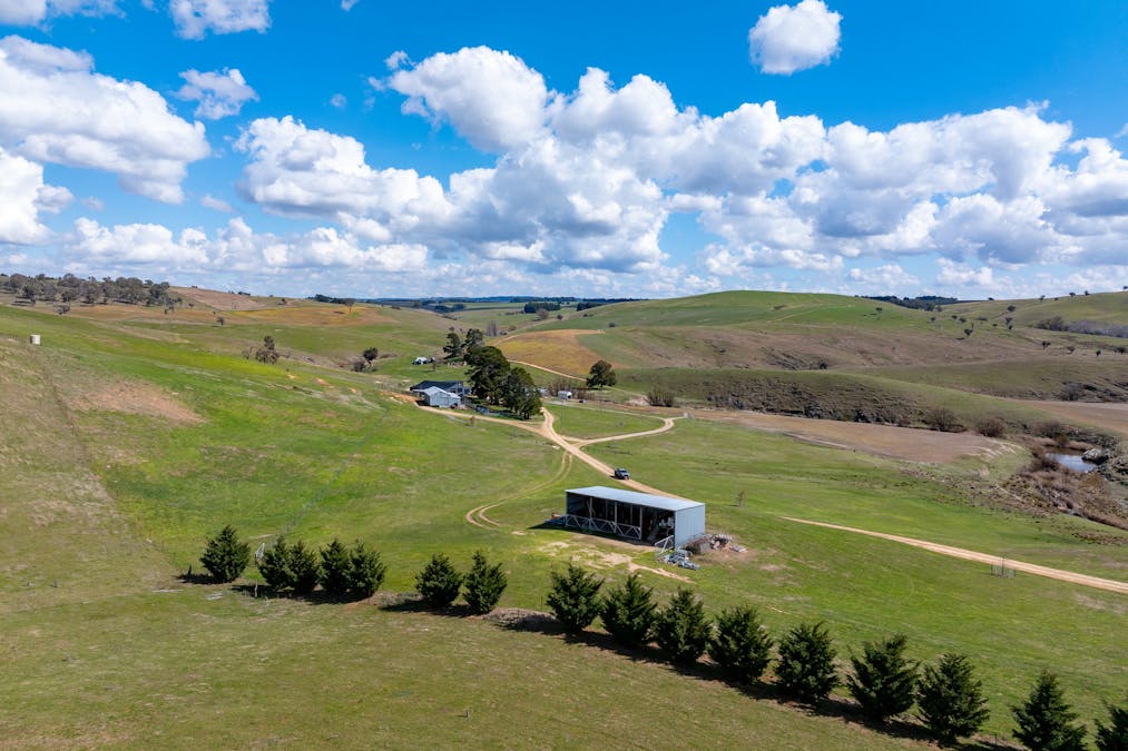 1185 Golspie Road, Golspie, NSW, 2580 - Image 16