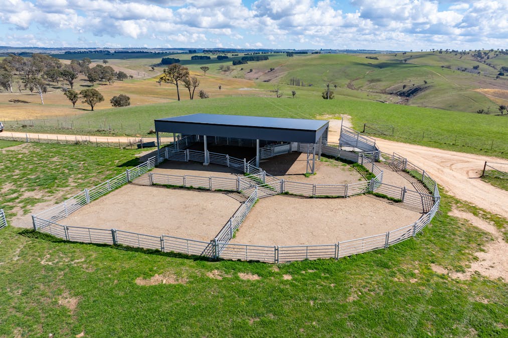 1185 Golspie Road, Golspie, NSW, 2580 - Image 15
