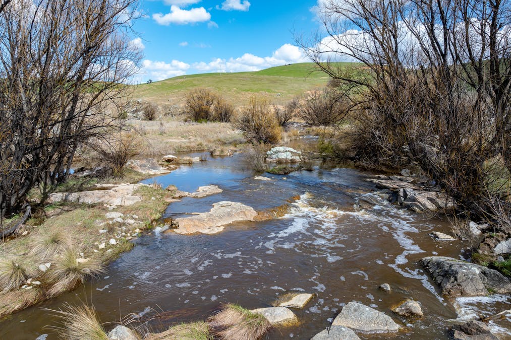 1185 Golspie Road, Golspie, NSW, 2580 - Image 8