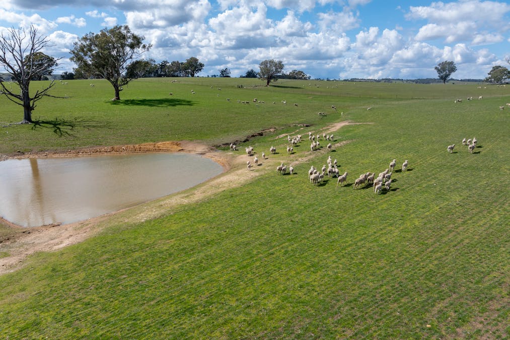 1185 Golspie Road, Golspie, NSW, 2580 - Image 13