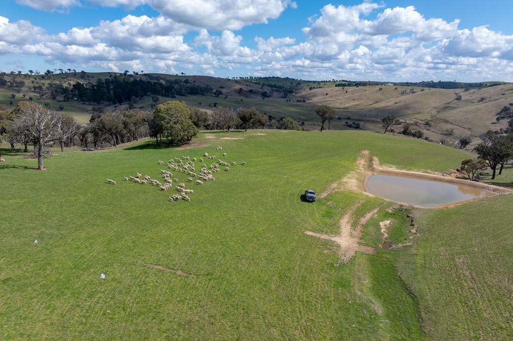 1185 Golspie Road, Golspie, NSW, 2580 - Image 14