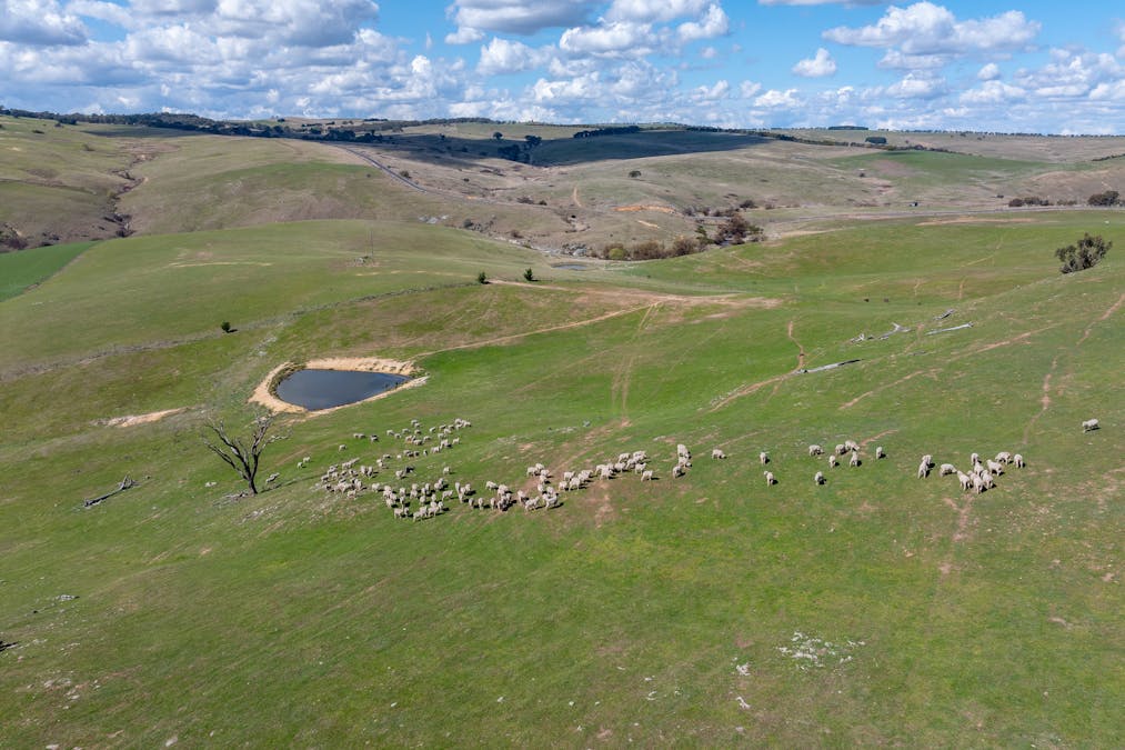 1185 Golspie Road, Golspie, NSW, 2580 - Image 16