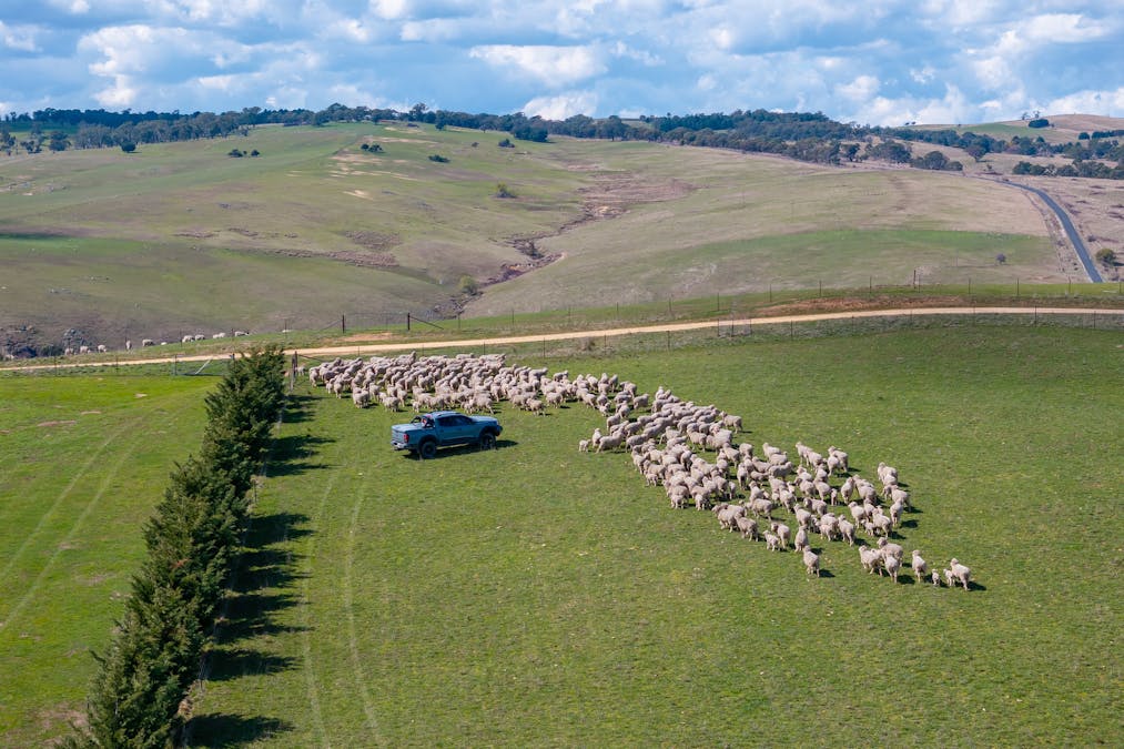 1185 Golspie Road, Golspie, NSW, 2580 - Image 19